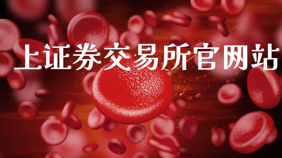 上证券交易所官网站_https://m.eyunqq.com_融资融券_第1张