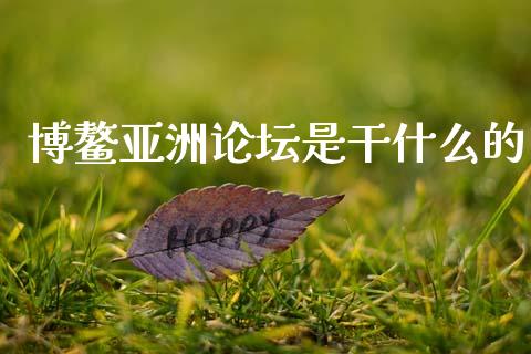 博鳌亚洲论坛是干什么的_https://m.eyunqq.com_期货投资学习_第1张