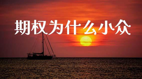 期权为什么小众_https://m.eyunqq.com_期货投资学习_第1张