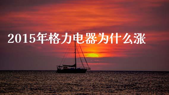 2015年格力电器为什么涨_https://m.eyunqq.com_期货投资学习_第1张