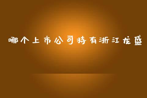 哪个上市公司持有浙江龙盛_https://m.eyunqq.com_期货投资学习_第1张