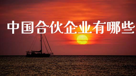 中国合伙企业有哪些_https://m.eyunqq.com_新股申购_第1张