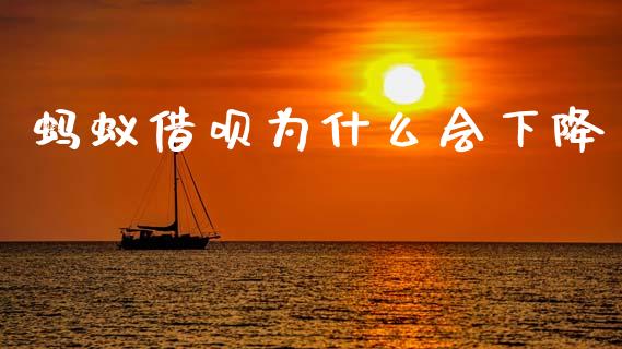 蚂蚁借呗为什么会下降_https://m.eyunqq.com_期货投资学习_第1张