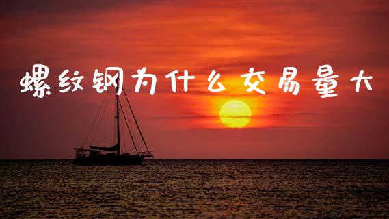 螺纹钢为什么交易量大_https://m.eyunqq.com_融资融券_第1张