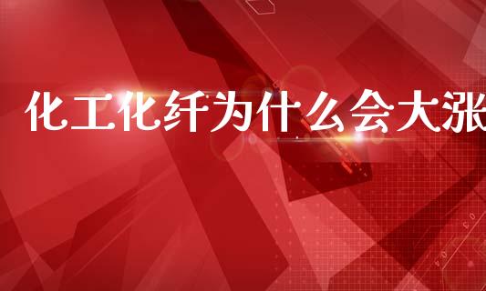 化工化纤为什么会大涨_https://m.eyunqq.com_融资融券_第1张