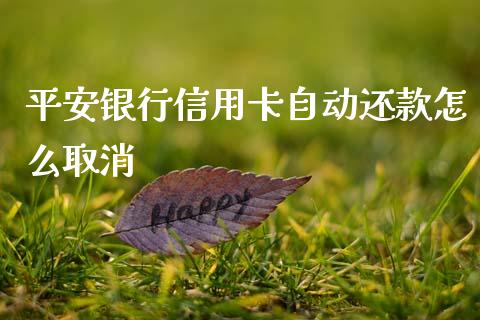平安银行信用卡自动还款怎么取消_https://m.eyunqq.com_融资融券_第1张