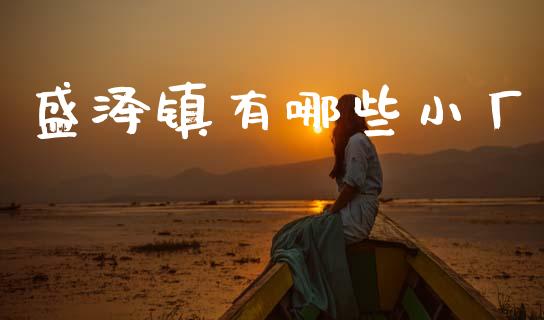 盛泽镇有哪些小厂_https://m.eyunqq.com_期货投资学习_第1张