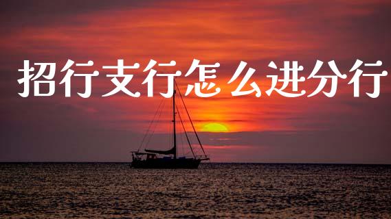 招行支行怎么进分行_https://m.eyunqq.com_新股申购_第1张