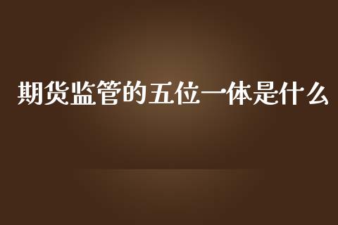 期货监管的五位一体是什么_https://m.eyunqq.com_融资融券_第1张
