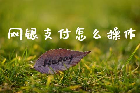 网银支付怎么操作_https://m.eyunqq.com_基金交易_第1张