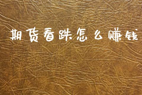 期货看跌怎么赚钱_https://m.eyunqq.com_融资融券_第1张