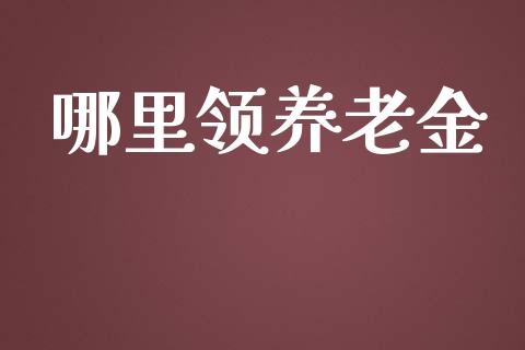 哪里领养老金_https://m.eyunqq.com_期货投资学习_第1张