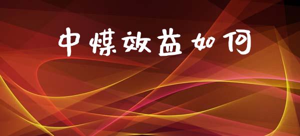 中煤效益如何_https://m.eyunqq.com_融资融券_第1张
