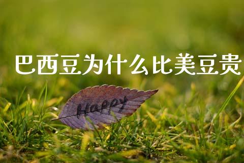 巴西豆为什么比美豆贵_https://m.eyunqq.com_融资融券_第1张