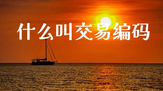 什么叫交易编码_期货投资学习_第1张_期货投资学习_新股申购_融资融券_基金交易 什么叫交易编码_https://m.eyunqq.com_期货投资学习_第1张