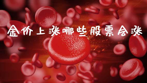 金价上涨哪些股票会涨_https://m.eyunqq.com_基金交易_第1张