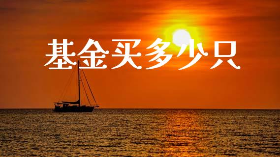基金买多少只_https://m.eyunqq.com_新股申购_第1张