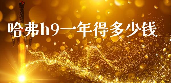哈弗h9一年得多少钱_https://m.eyunqq.com_融资融券_第1张
