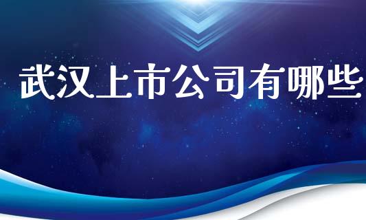 武汉上市公司有哪些_https://m.eyunqq.com_期货投资学习_第1张