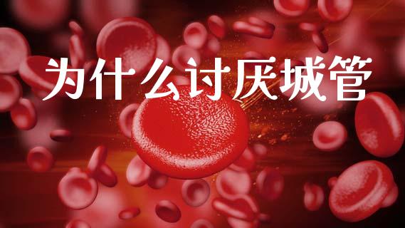 为什么讨厌城管_https://m.eyunqq.com_新股申购_第1张