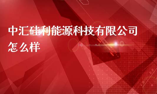 中汇硅利能源科技有限公司怎么样_https://m.eyunqq.com_期货投资学习_第1张