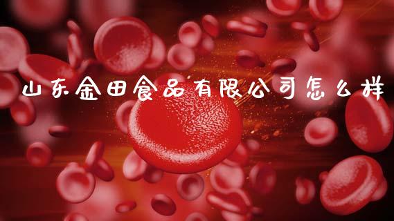 山东金田食品有限公司怎么样_https://m.eyunqq.com_基金交易_第1张