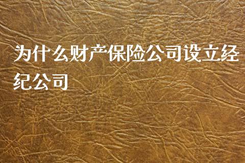 为什么财产保险公司设立经纪公司_https://m.eyunqq.com_融资融券_第1张