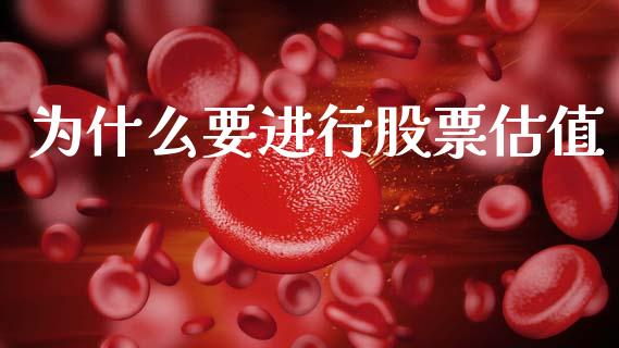 为什么要进行股票估值_https://m.eyunqq.com_新股申购_第1张