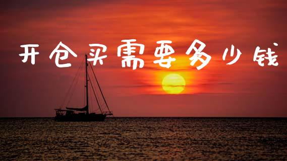 开仓买需要多少钱_https://m.eyunqq.com_新股申购_第1张