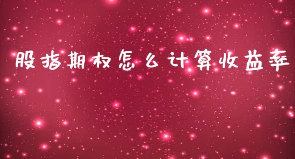 股指期权怎么计算收益率_https://m.eyunqq.com_期货投资学习_第1张