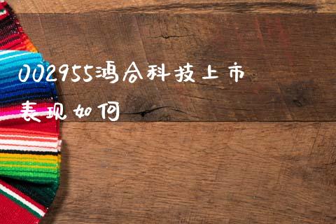 002955鸿合科技上市表现如何_https://m.eyunqq.com_基金交易_第1张