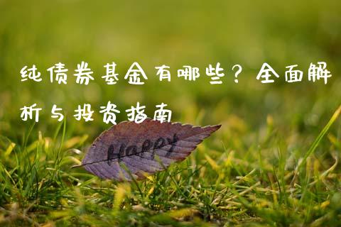 纯债券基金有哪些？全面解析与投资指南_https://m.eyunqq.com_新股申购_第1张