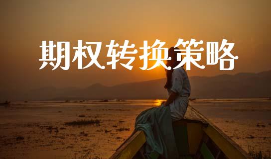 期权转换策略_https://m.eyunqq.com_期货投资学习_第1张