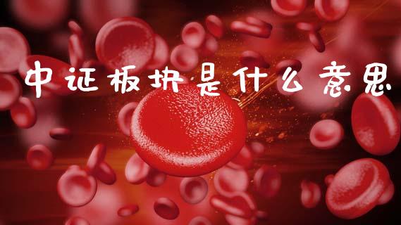 中证板块是什么意思_https://m.eyunqq.com_融资融券_第1张