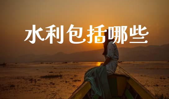 水利包括哪些_https://m.eyunqq.com_期货投资学习_第1张