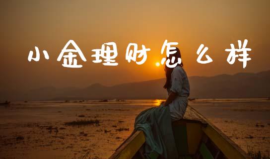 小金理财怎么样_https://m.eyunqq.com_基金交易_第1张