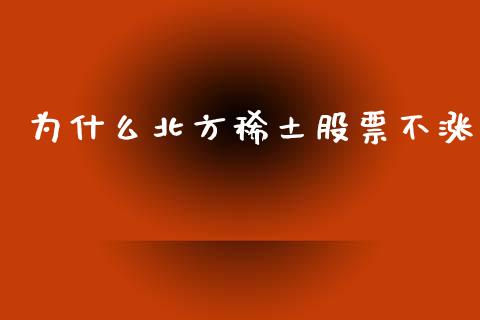 为什么北方稀土股票不涨_https://m.eyunqq.com_期货投资学习_第1张
