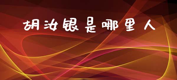 胡汝银是哪里人_https://m.eyunqq.com_融资融券_第1张