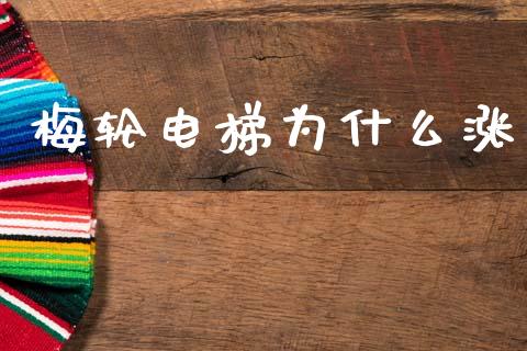梅轮电梯为什么涨_https://m.eyunqq.com_新股申购_第1张