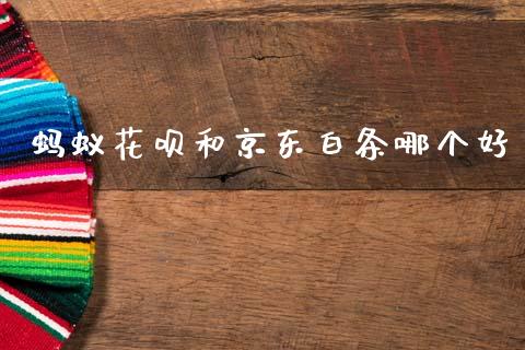 蚂蚁花呗和京东白条哪个好_https://m.eyunqq.com_基金交易_第1张