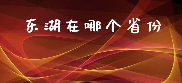 东湖在哪个省份_https://m.eyunqq.com_基金交易_第1张