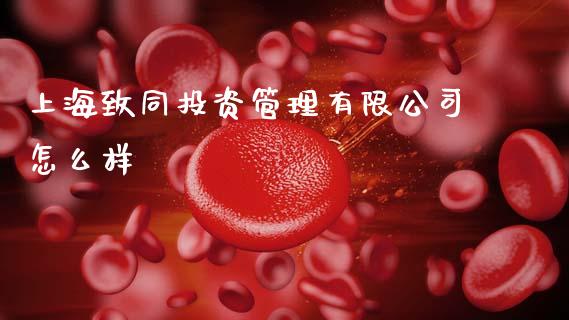 上海致同投资管理有限公司怎么样_https://m.eyunqq.com_期货投资学习_第1张