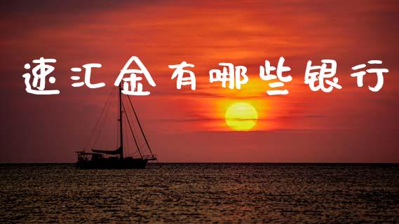 速汇金有哪些银行_https://m.eyunqq.com_融资融券_第1张