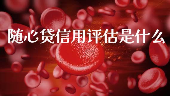 随心贷信用评估是什么_https://m.eyunqq.com_期货投资学习_第1张
