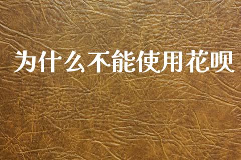 为什么不能使用花呗_https://m.eyunqq.com_基金交易_第1张