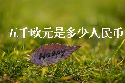 五千欧元是多少人民币_https://m.eyunqq.com_基金交易_第1张