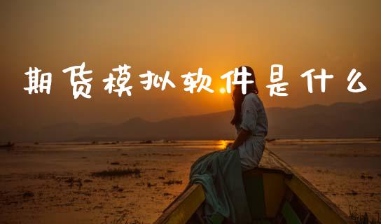 期货模拟软件是什么_https://m.eyunqq.com_基金交易_第1张
