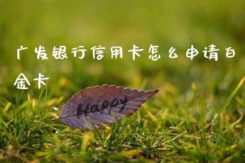 广发银行信用卡怎么申请白金卡_https://m.eyunqq.com_基金交易_第1张