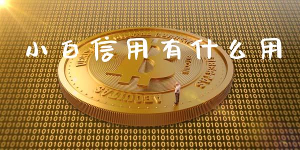 小白信用有什么用_https://m.eyunqq.com_融资融券_第1张