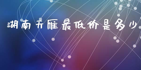 湖南天雁最低价是多少_https://m.eyunqq.com_融资融券_第1张